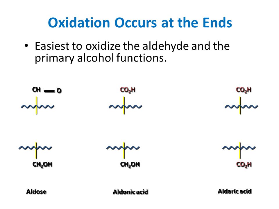 Oxidation Occurs at the Ends