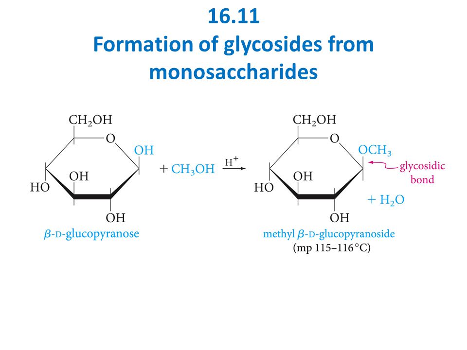 16.11 Formation of glycosides from monosaccharides
