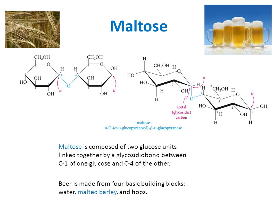 Maltose Maltose is composed of two glucose units linked together by a glycosidic bond between C-1 of one glucose and C-4 of the other.