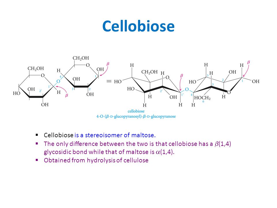 Cellobiose Cellobiose is a stereoisomer of maltose.