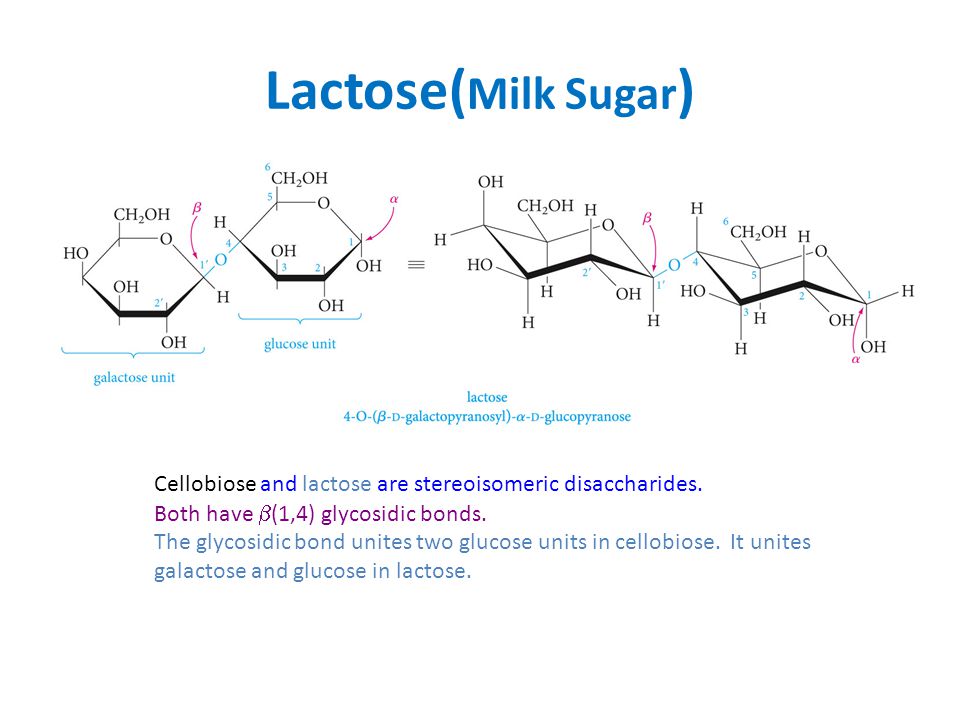 Lactose(Milk Sugar) Cellobiose and lactose are stereoisomeric disaccharides. Both have (1,4) glycosidic bonds.