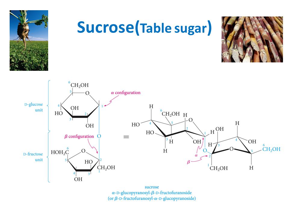 Sucrose(Table sugar)