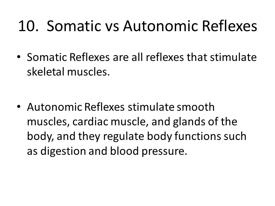 example of somatic reflex