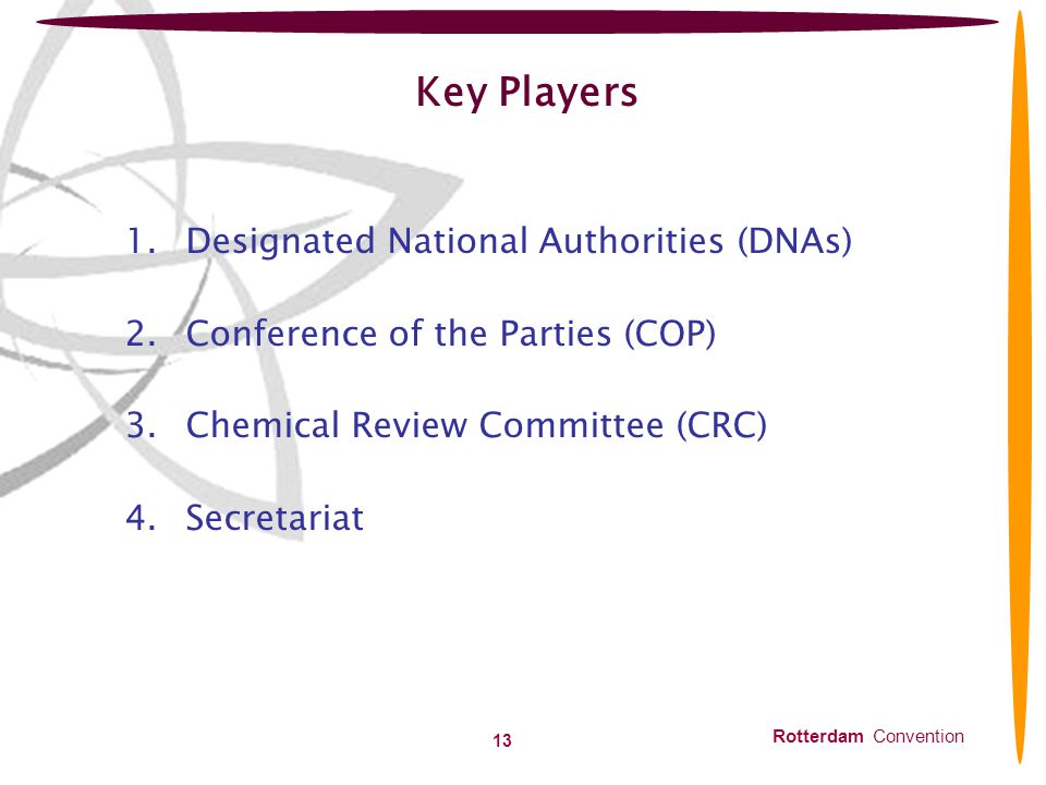 Key Players Designated National Authorities (DNAs)