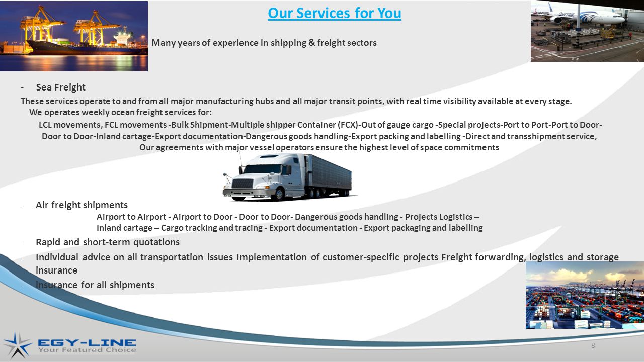 Many years of experience in shipping & freight sectors