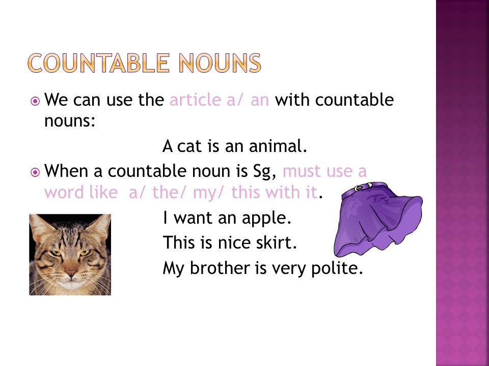 Countable nouns We can use the article a/ an with countable nouns: