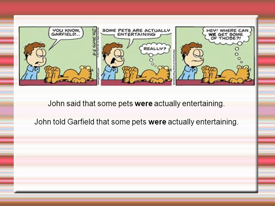 John said that some pets were actually entertaining.
