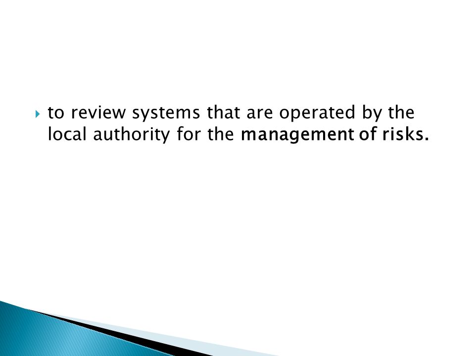 to review systems that are operated by the local authority for the management of risks.