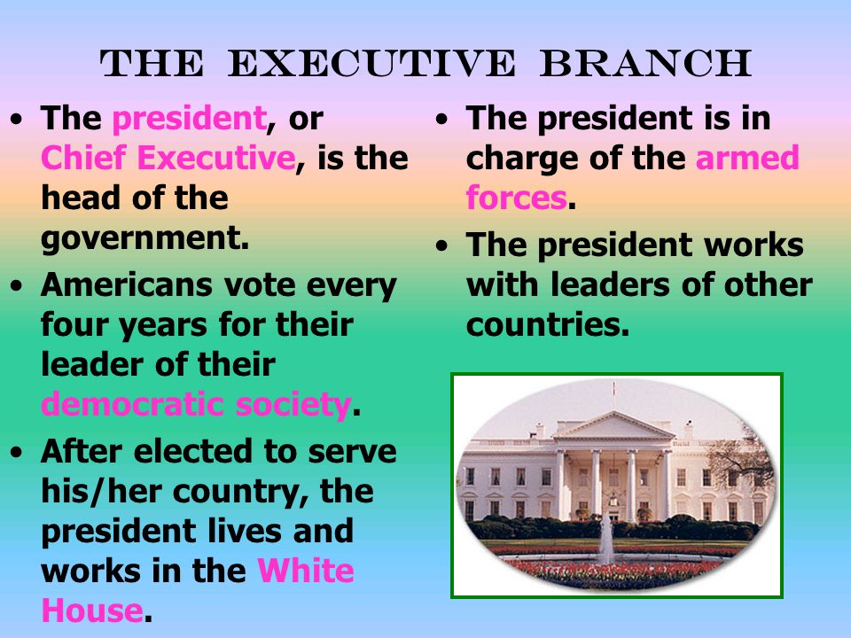 The Executive Branch The president, or Chief Executive, is the head of the government.
