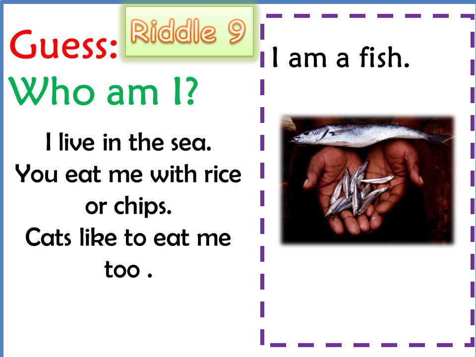 Guess: Who am I Riddle 9 I am a fish.