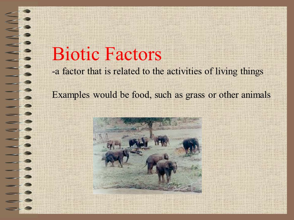 Biotic Factors -a factor that is related to the activities of living things. Examples would be food, such as grass or other animals.