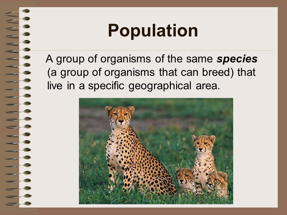Population A group of organisms of the same species (a group of organisms that can breed) that live in a specific geographical area.