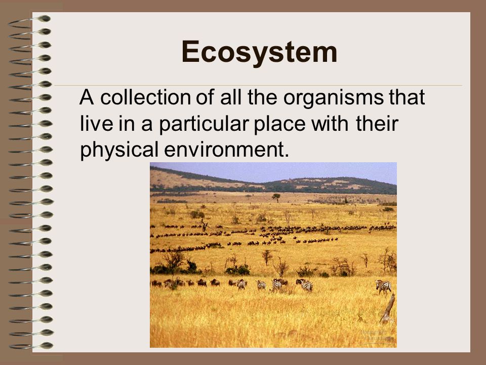 Ecosystem A collection of all the organisms that live in a particular place with their physical environment.