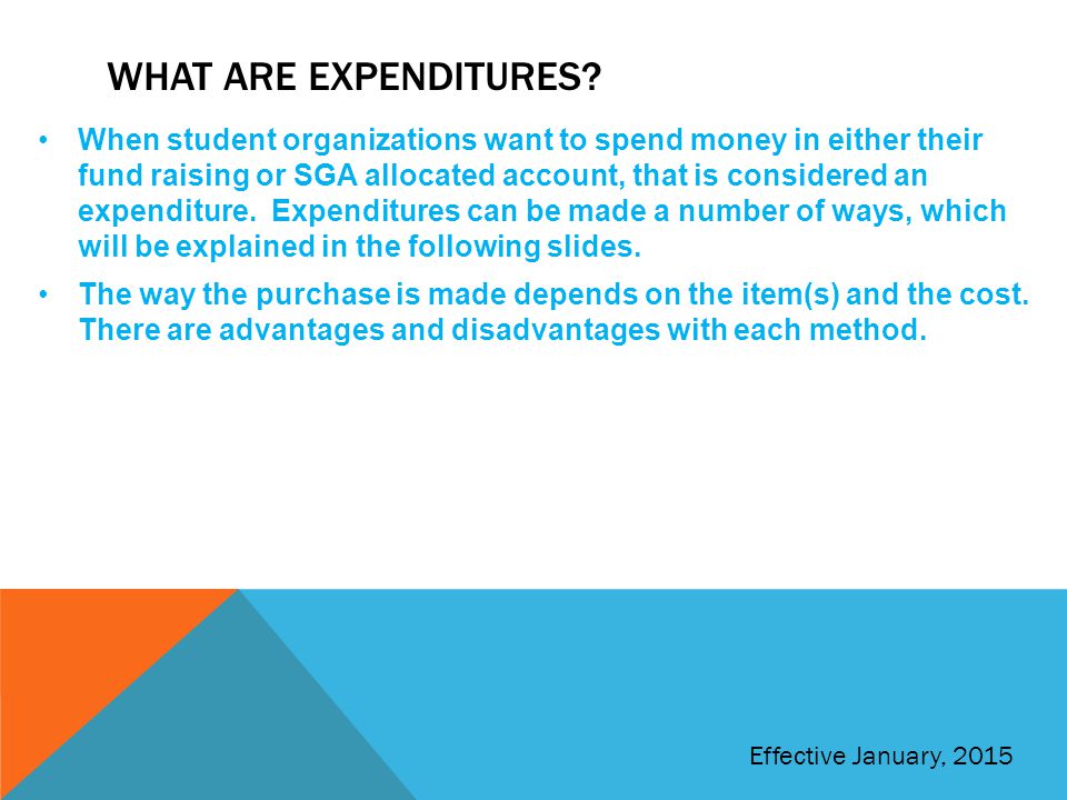 What are expenditures