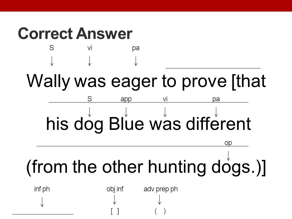 Correct Answer S. vi. pa. Wally was eager to prove [that his dog Blue was different (from the other hunting dogs.)]