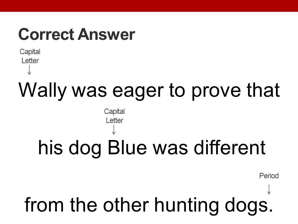 Correct Answer Capital Letter. Wally was eager to prove that his dog Blue was different from the other hunting dogs.