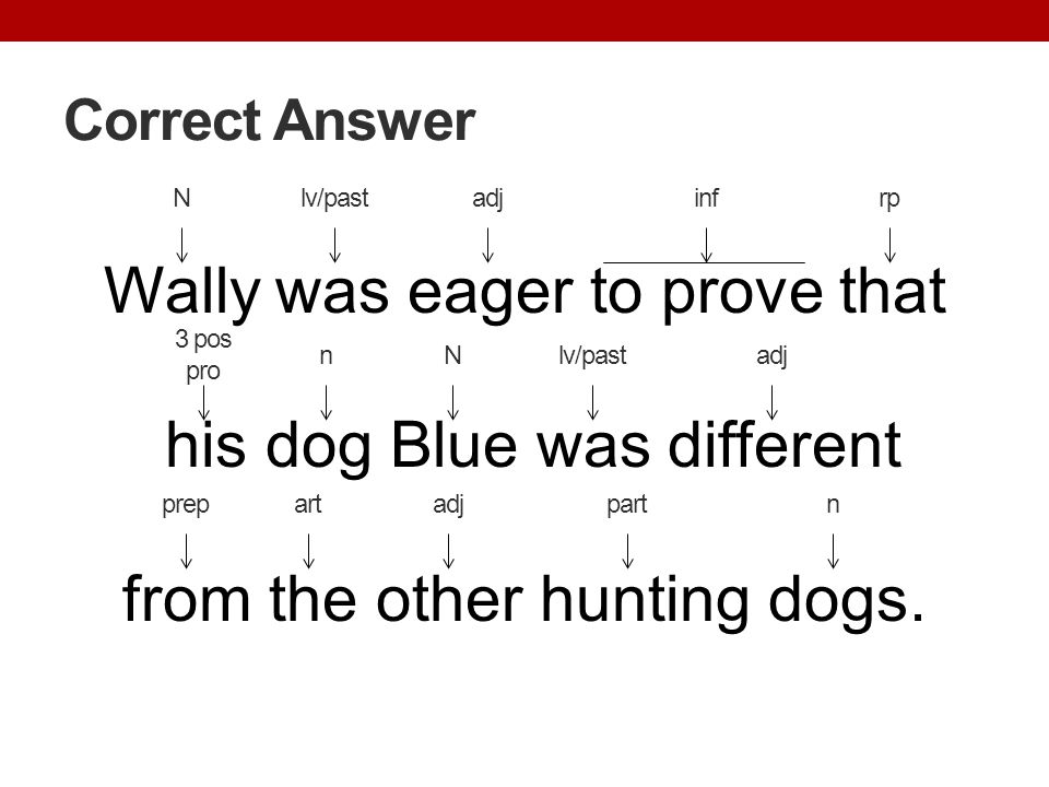 Correct Answer N. lv/past. adj. inf. rp. Wally was eager to prove that his dog Blue was different from the other hunting dogs.