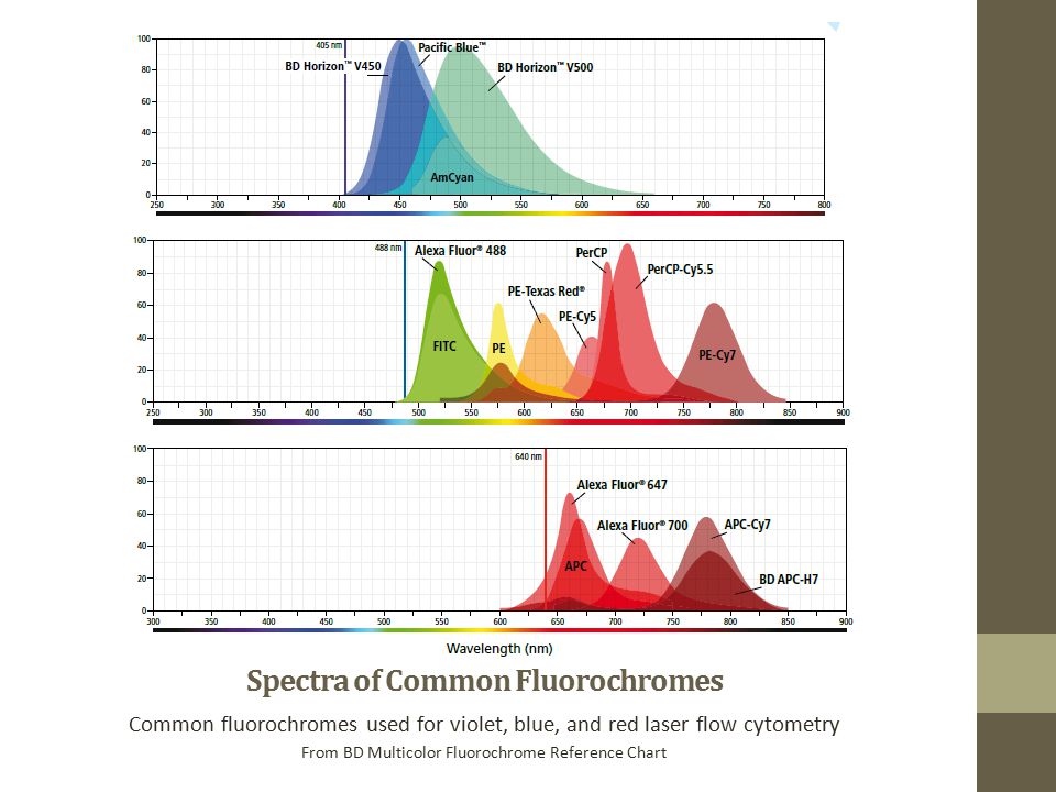 Bd Fluorochrome Laser Reference Chart