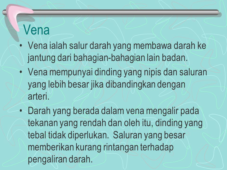 Vena Vena ialah salur darah yang membawa darah ke jantung dari bahagian-bahagian lain badan.