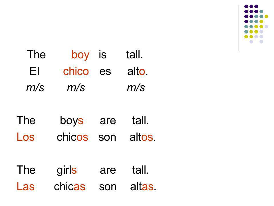 The boy is tall. El chico es alto. m/s m/s m/s. The boys are tall.