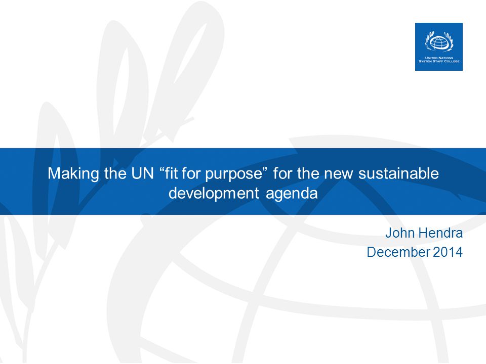 Making the UN fit for purpose for the new sustainable development agenda