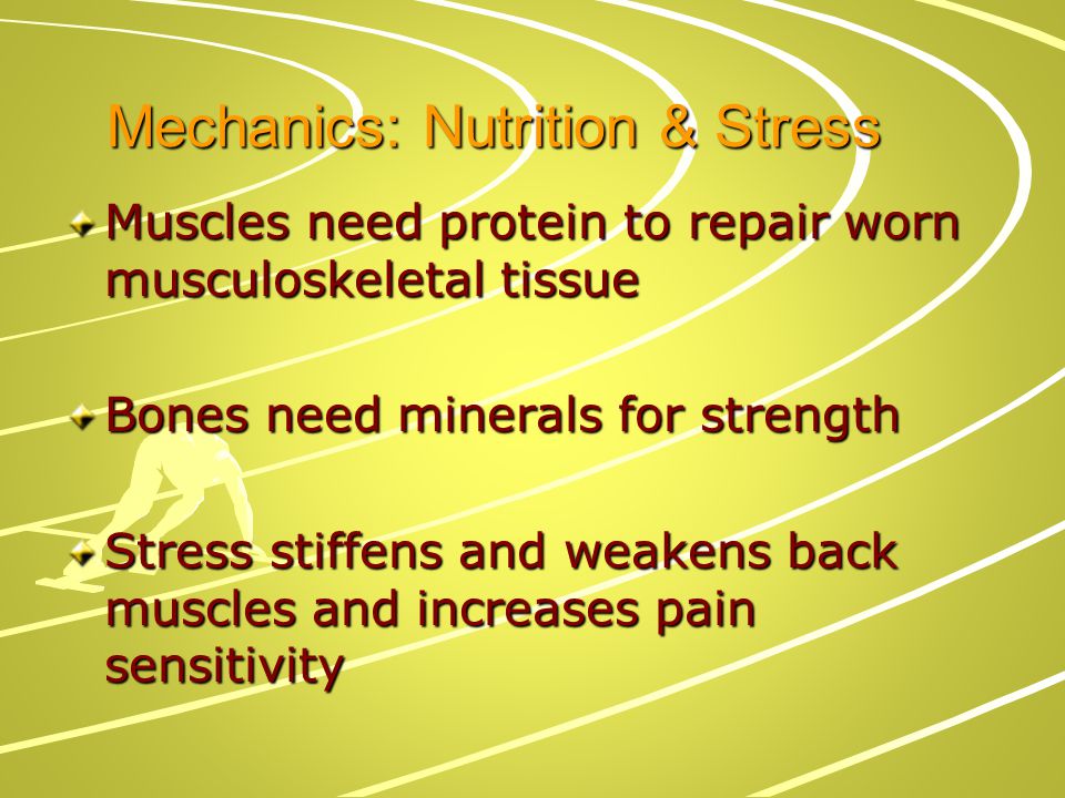 Mechanics: Nutrition & Stress
