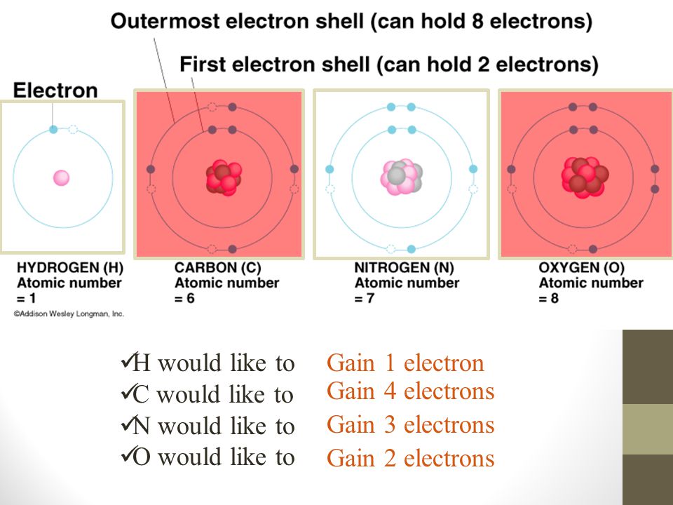 H would like to C would like to. N would like to. O would like to. Gain 1 electron. Gain 4 electrons.