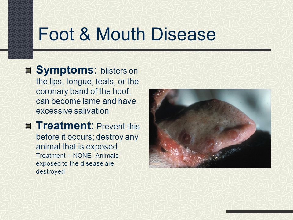Common Goat Diseases Signs, Prevention, and Treatment - ppt video online  download
