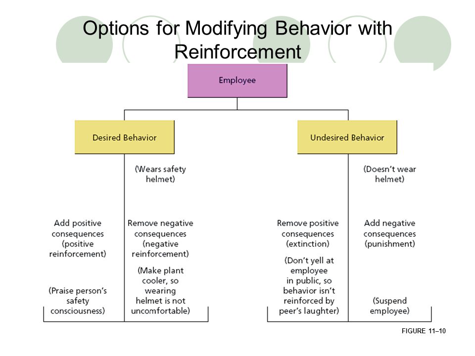 Options for Modifying Behavior with Reinforcement