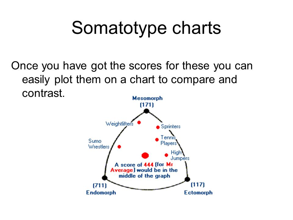 Somatotype Chart