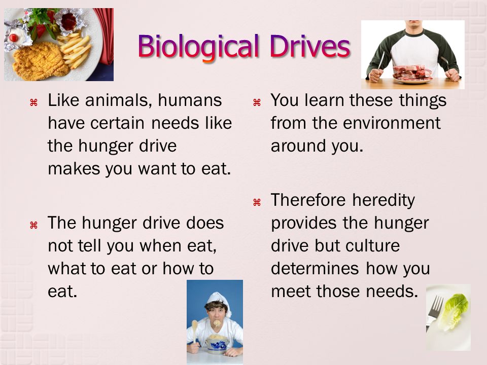 Biological Drives Like animals, humans have certain needs like the hunger drive makes you want to eat.