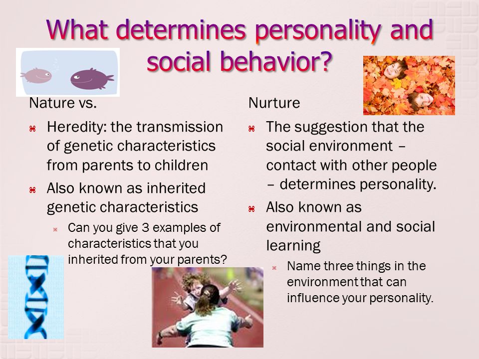 What determines personality and social behavior