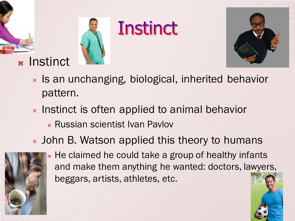 Instinct Instinct. Is an unchanging, biological, inherited behavior pattern. Instinct is often applied to animal behavior.