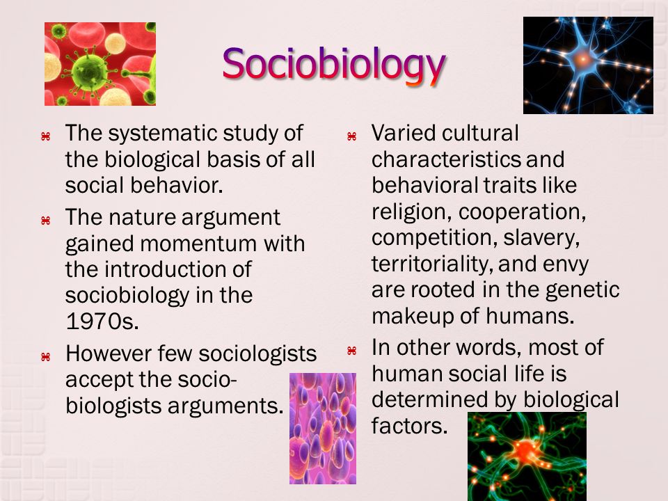 Sociobiology The systematic study of the biological basis of all social behavior.