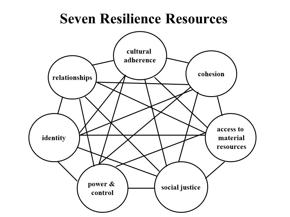Seven Resilience Resources