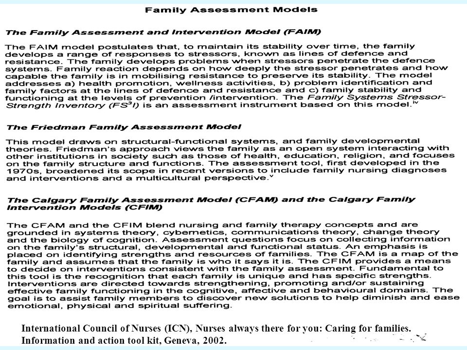 the friedman family assessment model