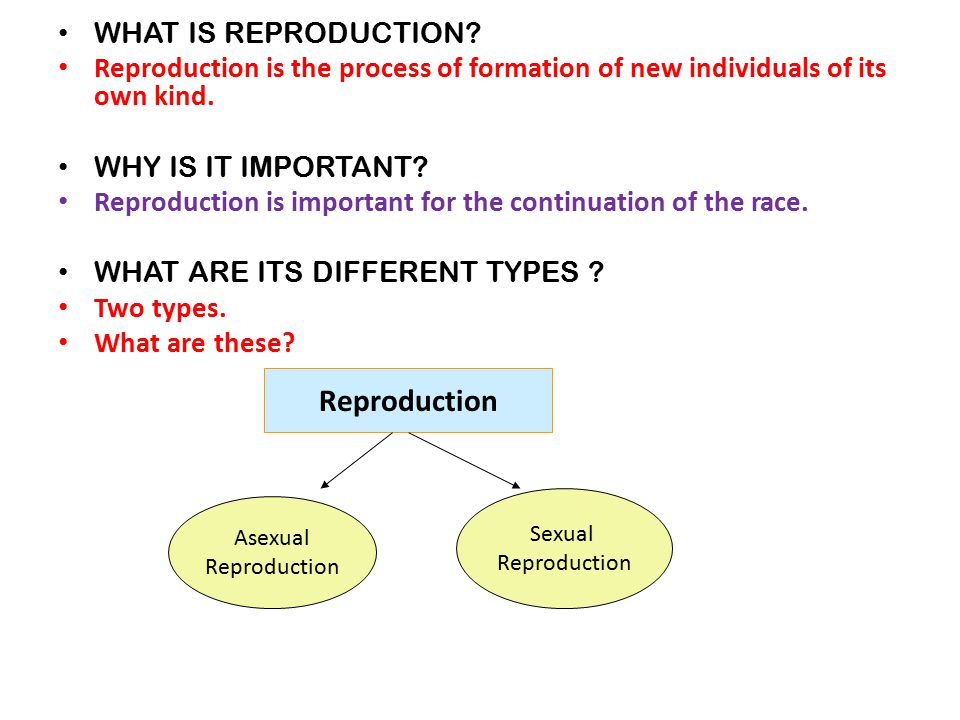Types Of Reproduction Review