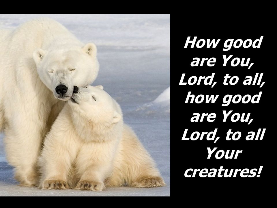 How good are You, Lord, to all, how good are You, Lord, to all Your creatures!