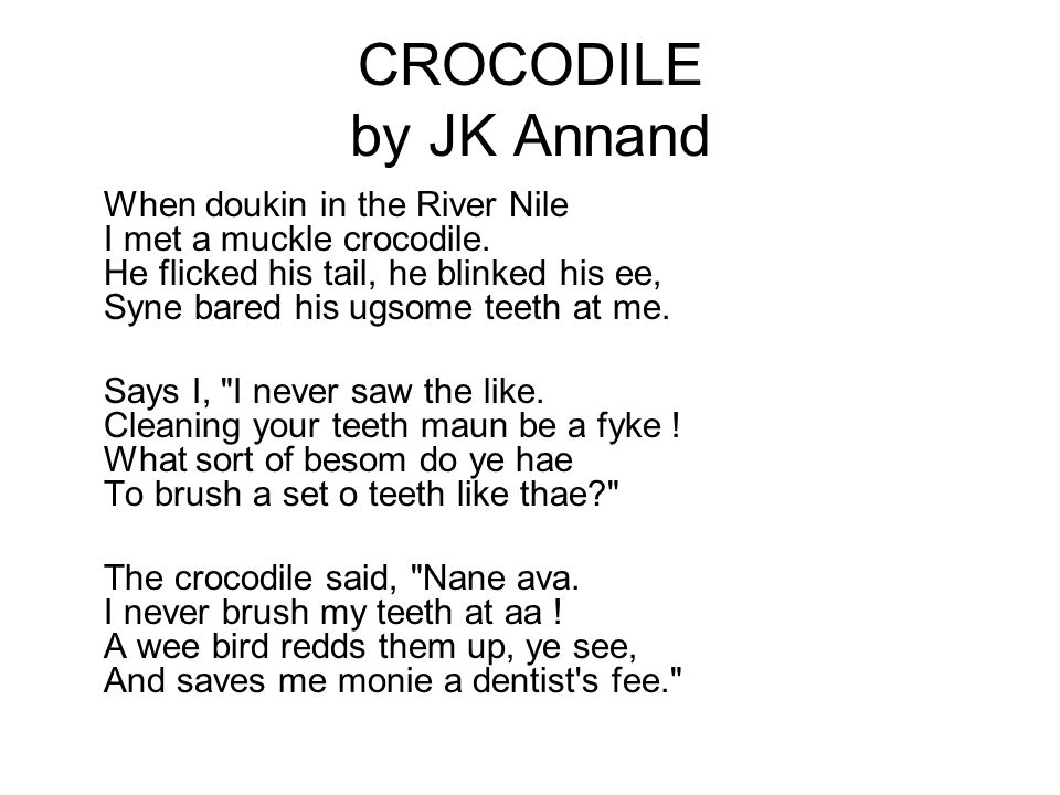CROCODILE by JK Annand