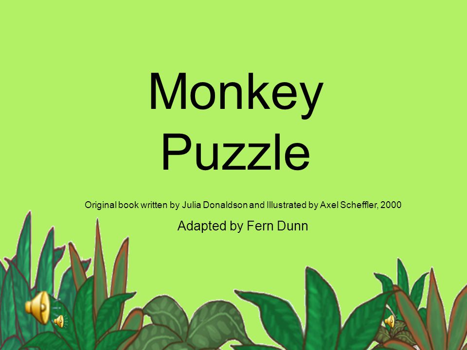 Monkey Puzzle Adapted by Fern Dunn