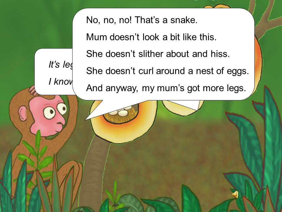 No, no, no! That’s a snake. Mum doesn’t look a bit like this. She doesn’t slither about and hiss. She doesn’t curl around a nest of eggs.