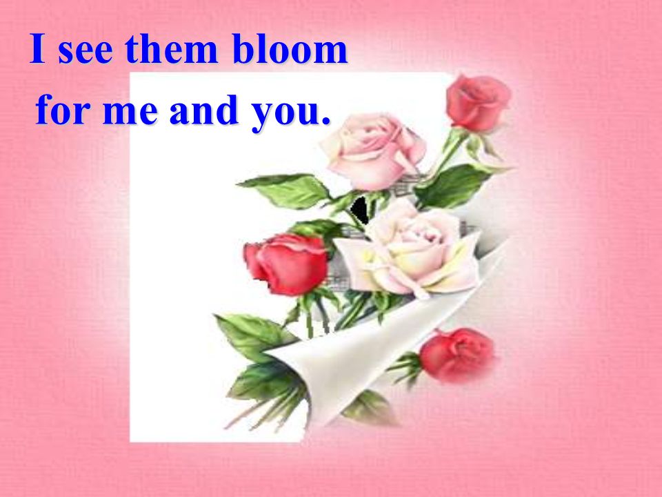 I see them bloom for me and you.