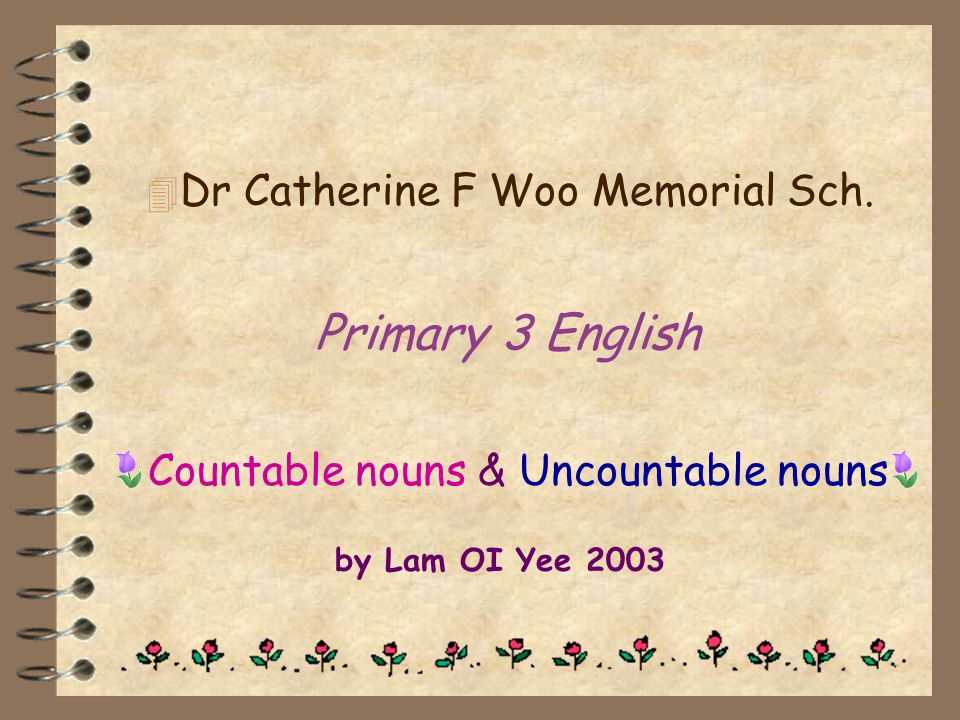 Countable nouns & Uncountable nouns