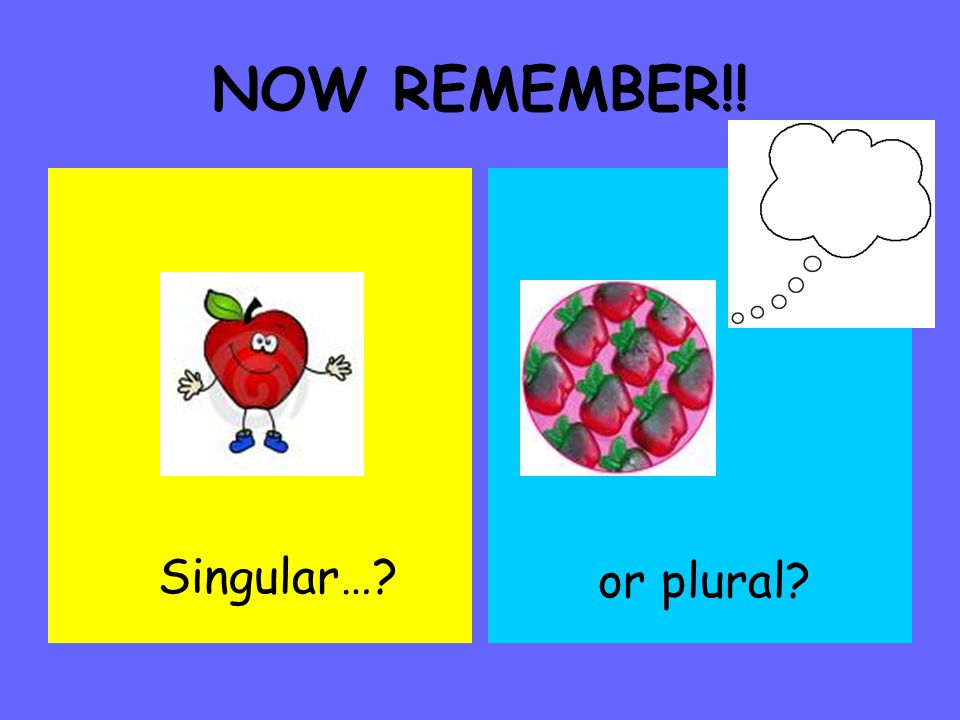 NOW REMEMBER!! Singular… or plural