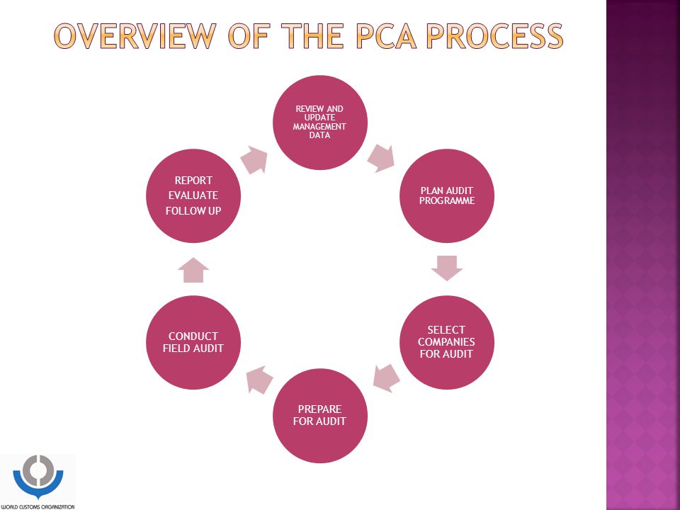 Overview of the PCA process