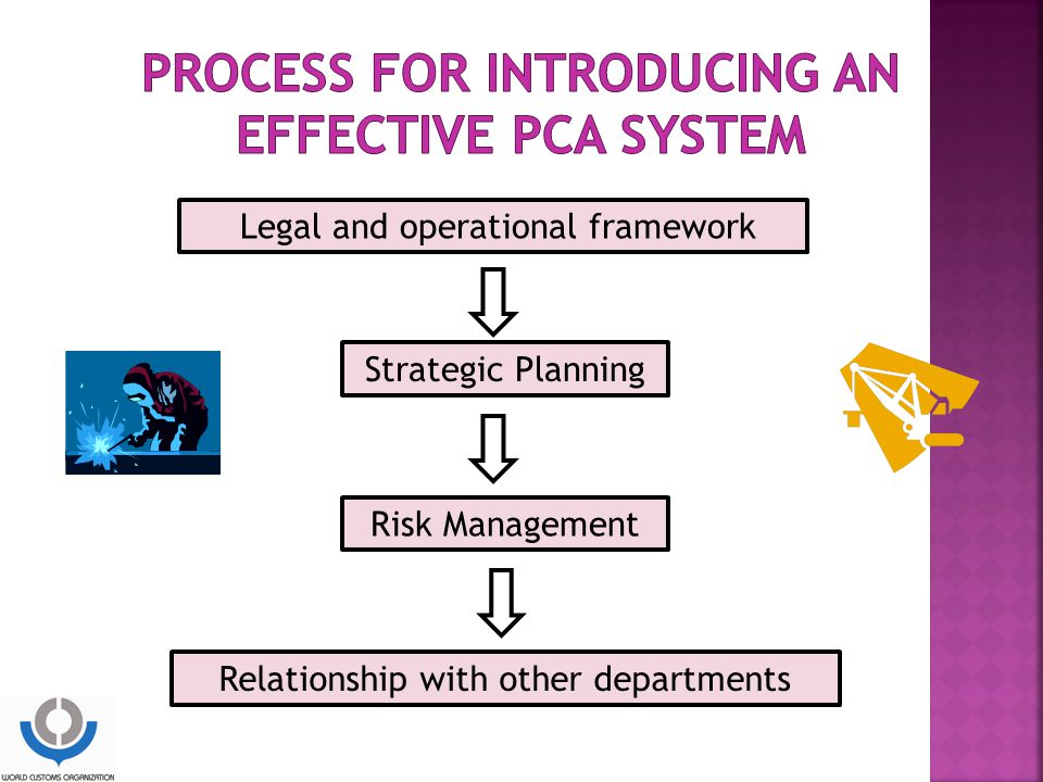 Process for introducing an effective PCA system