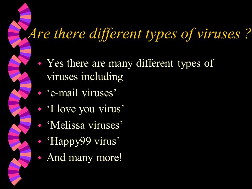 Are there different types of viruses