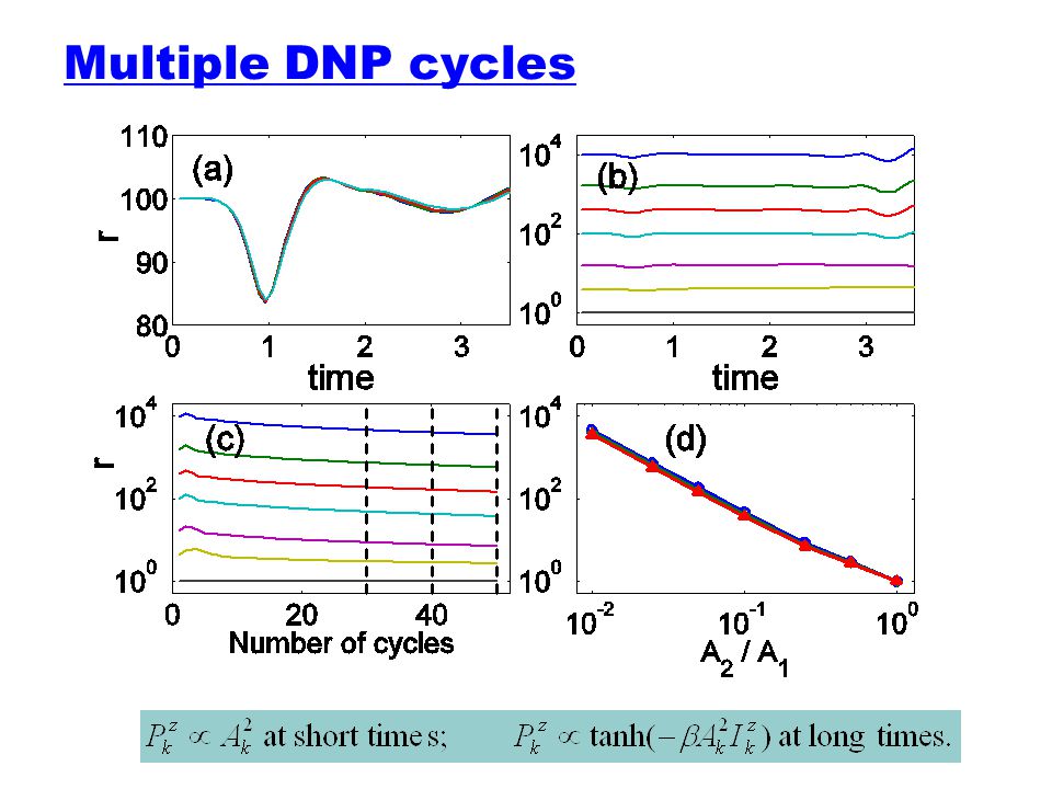 Multiple DNP cycles