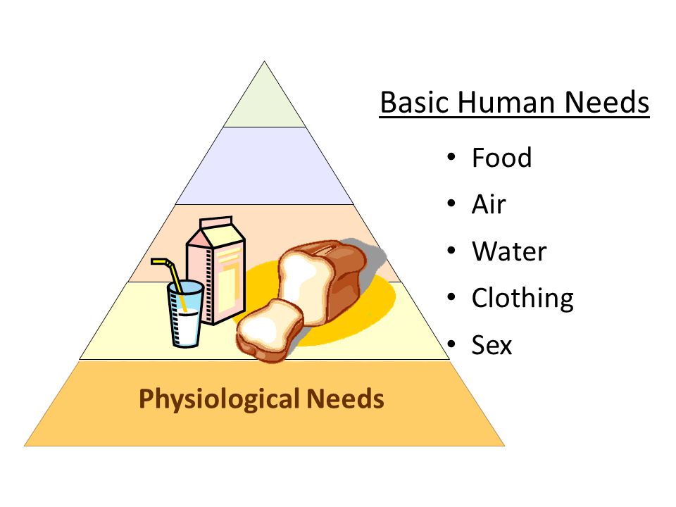 Basic Human needs. Basic needs. Human needs. Basic human