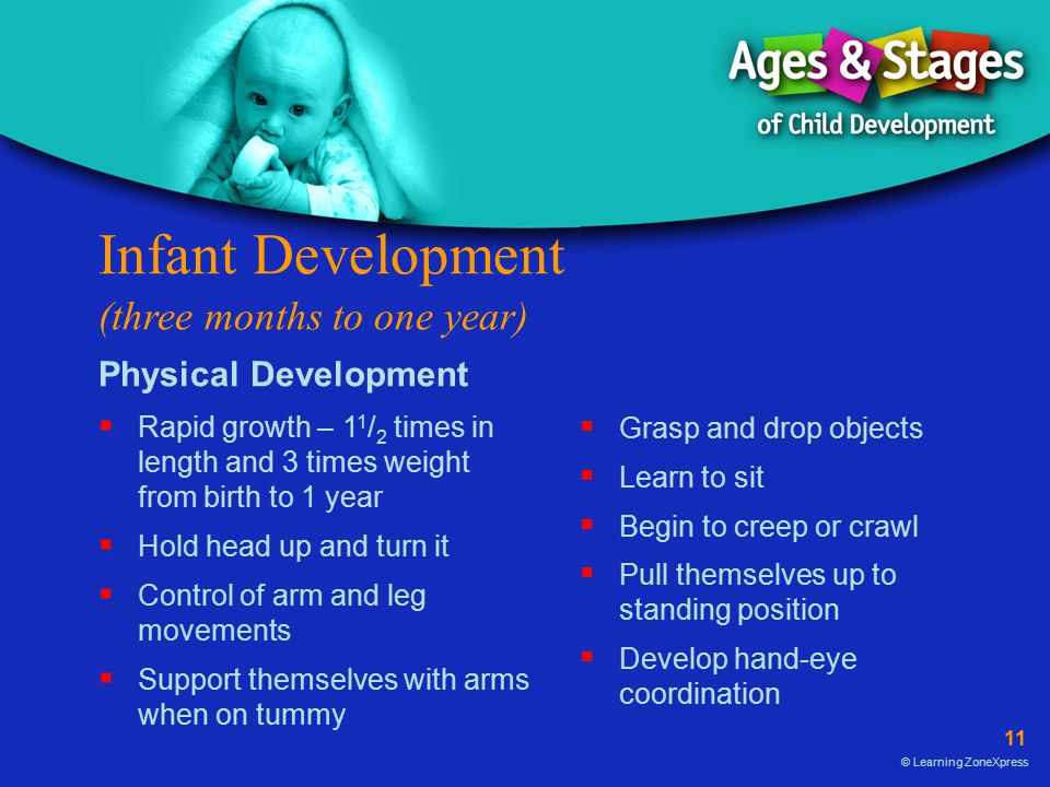 Infant Development (three months to one year)